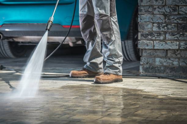 Best Fleet Vehicle Washing  in Susitna North, AK