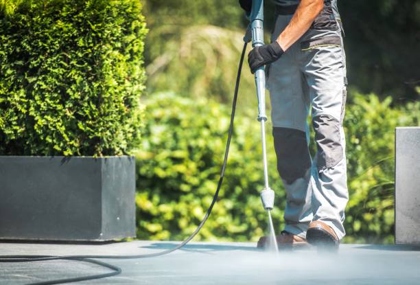 Best Gutter Cleaning  in Susitna North, AK