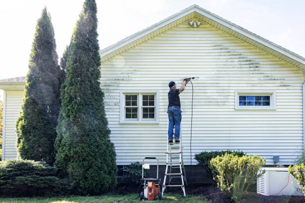 Best Sidewalk and Walkway Cleaning  in Susitna North, AK